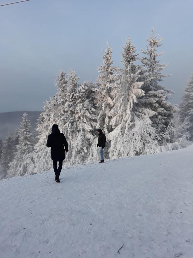 Winterberger Strasse Daire Dış mekan fotoğraf